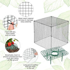 6 Set Upgraded Strawberry Protection Supports with Wire Plant Protectors from Animal Sturdy Metal Wire Plant Cages Mesh Plant Cover Strawberry Growing Racks Planting Stand for Garden,12 Inch Square
