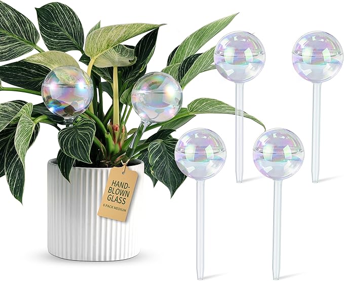 Soilagua Extra-Thick Clear Glass Plant Watering Globes, Rainbow Gradient Self Watering Globes, Automatic Plant Waterer, Self Watering Planter Insert Spikes Devices for Everyday or Vacation Use, 6-Pack