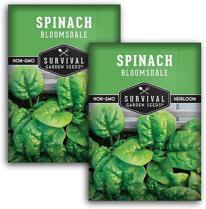 Bloomsdale Spinach Seeds for Planting | Heirloom Non-GMO Variety for Home Vegetable Gardens – Cold Hardy, Fast Growing Greens for Fall, Winter, Spring – Survival Garden Seeds (2 Packs)