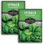 Bloomsdale Spinach Seeds for Planting | Heirloom Non-GMO Variety for Home Vegetable Gardens – Cold Hardy, Fast Growing Greens for Fall, Winter, Spring – Survival Garden Seeds (2 Packs)