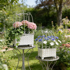 2-Piece Vintage Metal Birdcage Planter Set, Rustic Distressed Plant Holder, Farmhouse Floral Containers for Indoor Outdoor Garden, Patio & Tabletop Decor