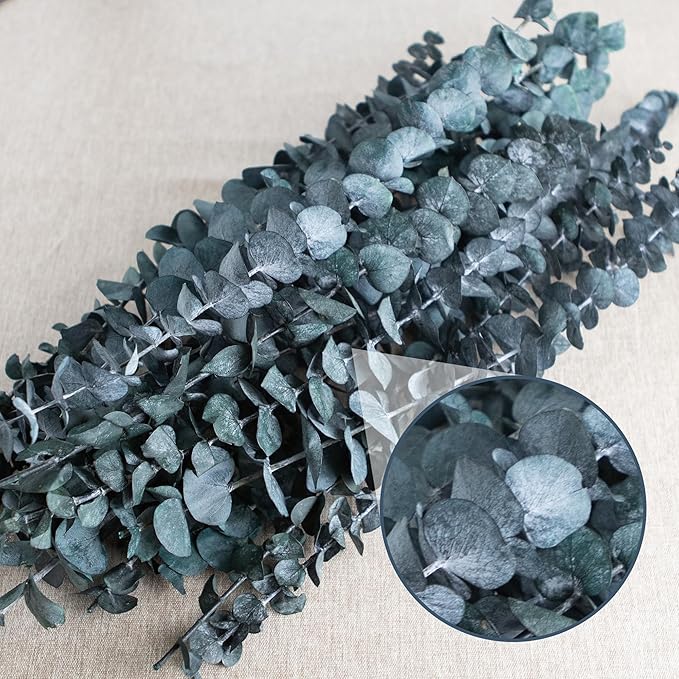 26Pcs Real Dried Eucalyptus Stems, 17" Blue-Green Preserved Eucalyptus Stems for Vase, Home Decor, Farmhouse, Dried Flowers Table Centerpiece Arrangement