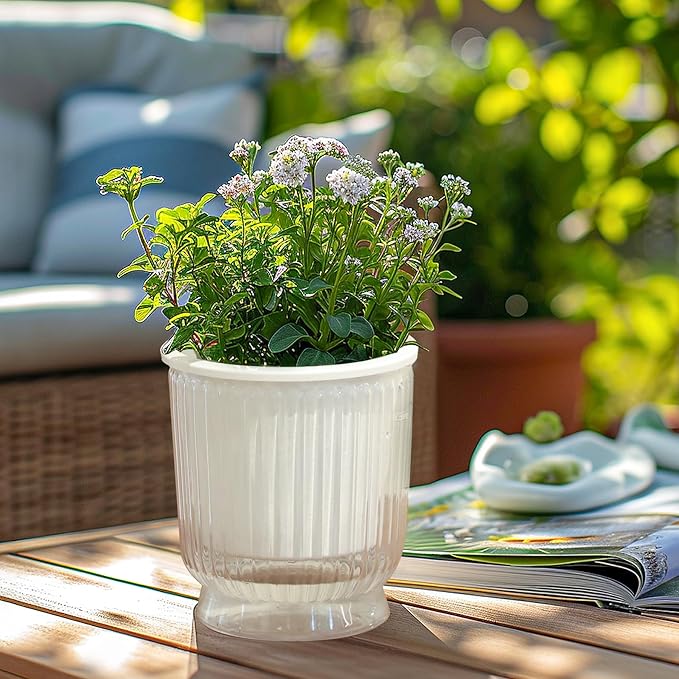 T4U 4.8 Inch Self Watering Plant Pot, 4 Pack Self Watering Pots, Self Watering Planter with Reservoir, Small Self Watering Pots for Indoor Plants, African Violets (4 Pack, 4.8", Clear)