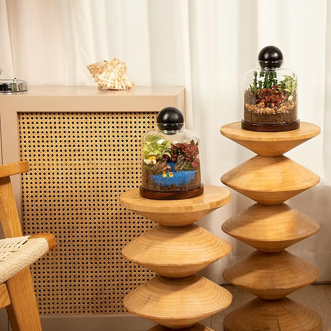 Yangbaga Large Glass Terrarium Succulent Plant Terrarium House for Plant/Moss Ball/Glass Fish Tank Mini Table with Wood Base & Ball lid Office Home Decoration