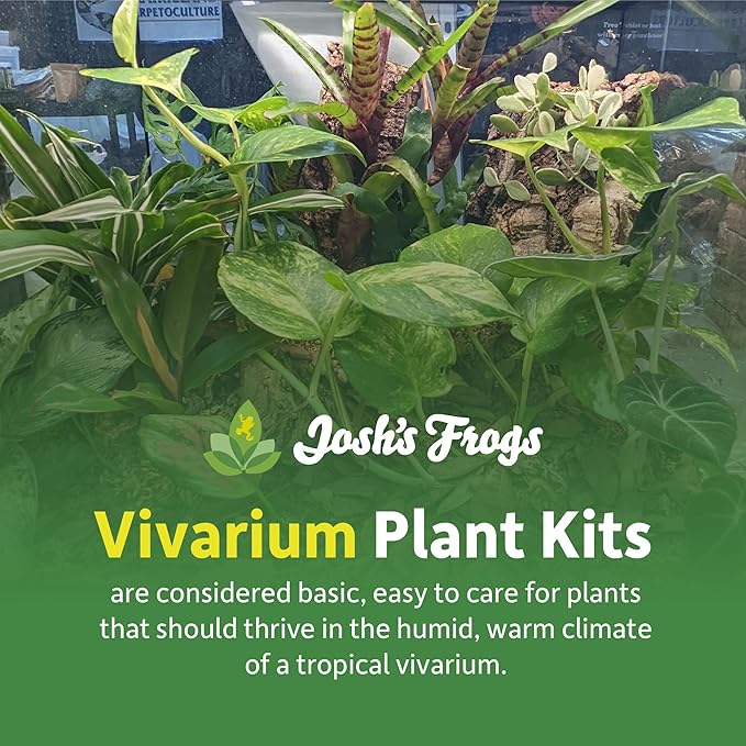Josh's Frogs 10 Gallon Tropical Vivarium Plant Kit