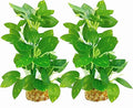 Silk Aquarium Plants (2-Pack) 9.8 Inch Artificial Plastic Fish Fish Habitat Decor, Small to Moderate Size Aquarium Decorations, Safe Green Plants for Freshwater Tanks