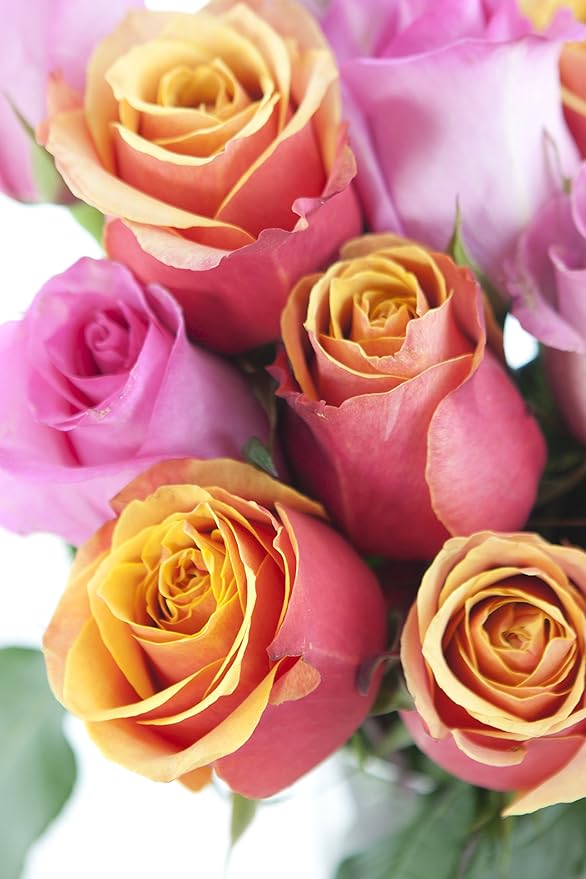 KaBloom - Brighten My Day! Bouquet - With Vase - Fresh Flowers for Birthday, Valentine's & Mother's Day