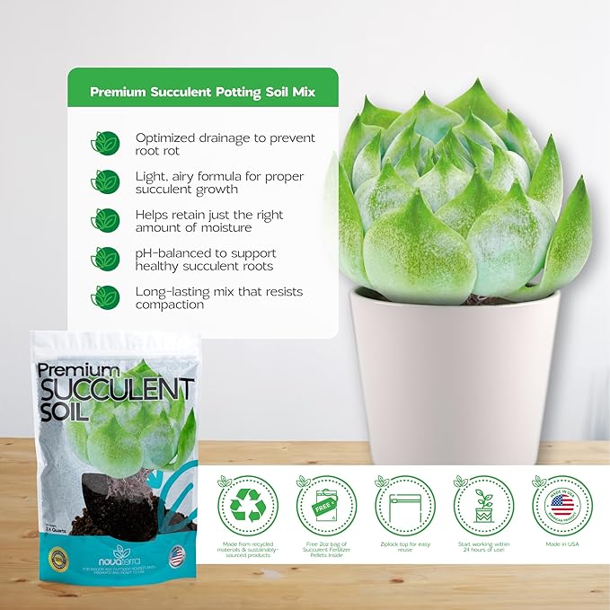 Succulent Soil Potting Mix Succulents Plants Live Succulent pots Potting Soil for Succulents Indoor suculentas Potting