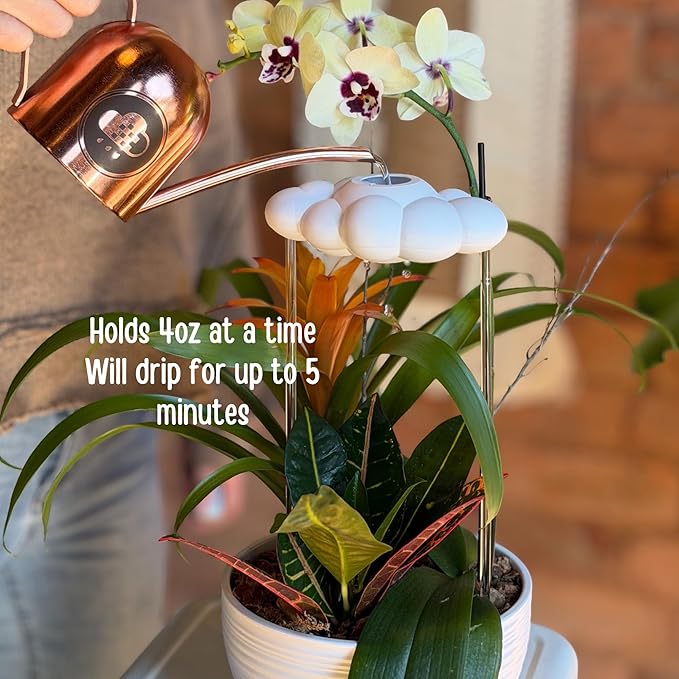Original Dripping Rain Cloud with Sun and Pastel Rainbow Charms