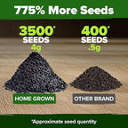 HOME GROWN Genovese Basil Seeds 2 Pack - 3500 Non GMO Heirloom Basil Seeds for Planting (Ocimum basilicum) - Herb Seeds for Indoor & Outdoor Gardening - Grow for Culinary Use