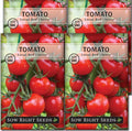Sow Right Seeds - Large Red Cherry Tomato Seeds for Planting - Non-GMO Heirloom Packet with Instructions to Plant a Home Vegetable Garden - Tasty Snacking Variety, Start Indoors - Indeterminate (4)