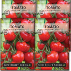 Sow Right Seeds - Large Red Cherry Tomato Seeds for Planting - Non-GMO Heirloom Packet with Instructions to Plant a Home Vegetable Garden - Tasty Snacking Variety, Start Indoors - Indeterminate (4)