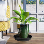 OVZILKI 2 Pack of Plant Saucer 12 inch, Black Plastic Flower Plant Pot Saucer, Heavy Duty Plant Drip Trays Saucers for Indoor, Plant Water Tray for Planters