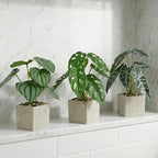 3pcs Small Fake Plants Artificial Begonia Leaves Faux Plants Indoor for Office Desk Shelf Bathroom Home Decor (3Pcs -7 Leaves)