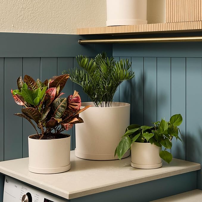 Bloem Mathers 10" Vanilla Bean Round Modern Resin Garden Planter Pot with Drainage Holes and Removable Saucer Tray Included