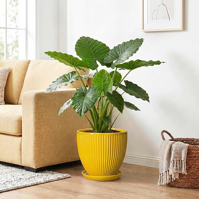 Ceramic Planters for Indoor Plants, 10 Inch Plant Pot Indoor with Drainage Hole and Saucer, Modern Large Flower Pots for Indoor Plants, Round Planter, Home Garden Decor, Gardening Gifts, Yellow