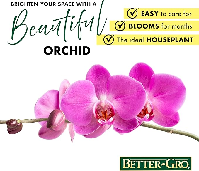 Better-GRO 19” Hanging Kokedama with Phalaenopsis Orchid – Indoor/Outdoor Planter- Purple