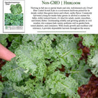 Dwarf Blue Curled Scotch Vates Kale Seeds (Brassica oleracea) – 750+ Non-GMO & Heirloom Seeds by Isla’s Garden Seeds, Classic Cool-Season Leafy Green for Gardens, Containers & Microgreens, Gift Idea