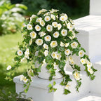 Homsunny Artificial Fake Flowers Plants for Outdoor Decoration, 2PCS Faux Petunias Silk Flower UV Resistant No Fade for Home Outside Garden Balcony Yard Porch Realistic Indoor Decor (White)