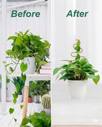 Small Plant Trellis for Climbing Plants Indoor - 13.8 Inch Trellis Indoor with Different Patterns for Vine Ivy Flower Plant Support, Metal Garden Trellis for Potted Plants, Set of 4 (Gold)