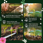 SVI 1600 Spider Plant Seeds (Cleome hassleriana) – Cleome, Spider Pink Flower Seed Packets Bulk, Wildflower Seed – Heat Tolerant Wild Flowers, Annual Cut Flower Seeds for Outdoor Garden, Flowers Beds