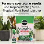 Miracle-Gro Tropical Potting Mix, For Container Plants, Use with Snake Plants, Spider Plants, Pothos, Monstera, 6 qt., 3-Pack