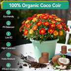 ZeeDix 100 Pcs (40mm) Compressed Coco Coir Fiber Potting Soil Seed Starters - Organic Coco Coir Pellet Fiber Soil for Planting Bonsai, Herbs, Plants, Flowers and Vegetables