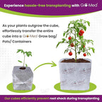 Gro-Med Coco Coir Seed Starter Cubes NPK Enriched for Herbs, Flowers, Vegetables organic Coco 4 Inch Plugs Perfect for Cloning, Cuttings, Propagation - 10 Cubes- Best Alternative to Peatmoss, Rockwool