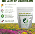 Earthwise Western Wonders Native Wildflower Seed Mix – Pollinator Friendly, Drought Tolerant, Low Maintenance, Organic, Chemical-Free, Pet Safe – Covers Up to 500 sq ft, 1/2 lb