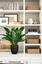 GnFlus Fake Plants 17'' Faux Plants Artificial Potted Plants Indoor Realistic Fake Cast Iron Plant Artificial Plants with Pot for Home Office Farmhouse Kitchen Bathroom Table Shelf Decor