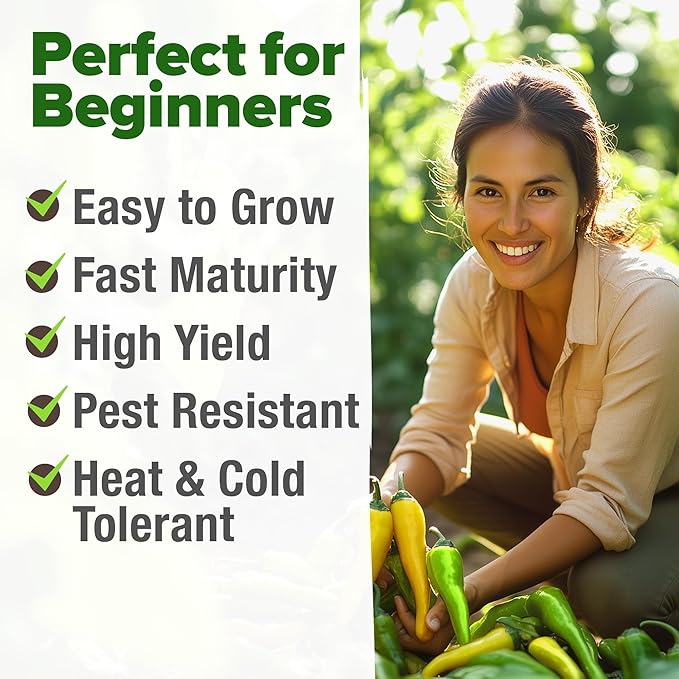 HOME GROWN Sweet Banana Pepper Seeds 188+ Heirloom Non-GMO Seeds for Planting, High Germination, Mild Yellow Sweet Peppers, Prolific Garden Crop, Perfect for Pickling & Salads (Capsicum annuum)
