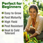 HOME GROWN Sweet Banana Pepper Seeds 188+ Heirloom Non-GMO Seeds for Planting, High Germination, Mild Yellow Sweet Peppers, Prolific Garden Crop, Perfect for Pickling & Salads (Capsicum annuum)