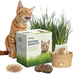 Cat Grass Kit for Indoor Cats – x3 Seed Packets | Cat Grass Seeds with Recyclable Planter & Coconut Coir Expanding Soil Discs – Wheatgrass Grass