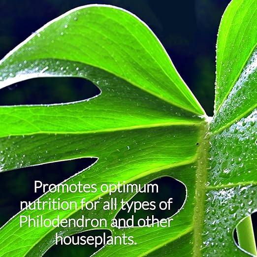 Professional Philodendron Fertilizer Liquid 3-1-2 Concentrate 8 oz, Premium Philodendron Plant Food Indoor Outdoor, Liquid Philodendron Fertilizer for House Plants Made in USA