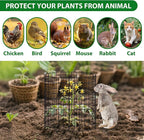 18 Pcs 11.8 in x12 in Wire Plant Protector Cages - Chicken Wire Cloche Animal Barrier, Metal Mesh Plant Cage with Stakes and Ties for Raised Bed Vegetables, Flowers, Shrubs & Plants