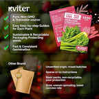KVITER 1000 Tall Utah Celery Seeds (Apium graveolens) – Celery Seed Packets Home Grown – Non GMO Heirloom Vegetable Garden Seeds for Planting, Outdoor & Indoor Garden Beds, Containers