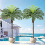 6ft Tall Artificial Phoenix Palm Tree for Outdoor Indoor Decor, Large Faux Coconut Silk Palm Tree Tropical Fake Tree Perfect for Outside Patio Poolside Home Office Decor (Set of 2)