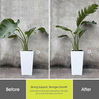 RIFNY Plant Stakes for Indoor Plants, 14 Inch Plant Support Stakes with Clips, Tall Adjustable Plant Sticks for Indoor Monstera Tomato Orchid Potted Plants Flower (10 PCS, Green)