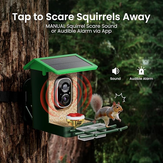 Bird Feeder with Camera Solar Powered 2K HD Video, 10,000+ Species AI Recognition, Real-Time App Alerts, and Weatherproof Design for Effortless Birdwatching, Gift for Father's Day, Grass Green