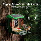 Bird Feeder with Camera Solar Powered 2K HD Video, 10,000+ Species AI Recognition, Real-Time App Alerts, and Weatherproof Design for Effortless Birdwatching, Gift for Father's Day, Grass Green