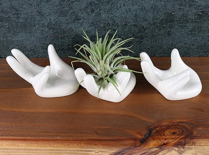 2 PCS Air Plant Holder Cute Ceramic Mini Hand Shape Stand Airplants Tillandsia Small Container Pot Plant Decorative Home Decor for Desk Table Shelf Window, White