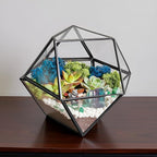 Creations by Nathalie DIY 7" Geometric Terrarium Kit - Build Your Own Glass Terrarium for Adults & Teens with Moss, Crystals, Tools & Decor - Handcrafted in the USA (Live Plant Included)