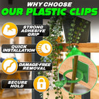 Plant Wall Clips for Climbing Plants 110 Pcs - Pothos Plant Climber Support, Large, Medium, Small Sizes Wall Clips for Support, Strong Self-Adhesive, For Indoor Plants, Cable Management & Plant Holder