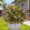 12 Bundles Artificial Coleus Flowers | UV Resistant No Fade Silk Faux Plants | Spring Summer Outdoor Fake Greenery for Garden Patio Planters Front Porch Pathway Decor (Green)