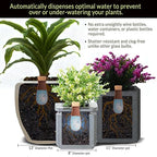 Ollas (Set of 4) | 12oz Terracotta Plant Watering Globes - Self Watering Planter Insert - Automatic Plant Watering Devices | Vacation Watering Pots for Indoor & Outdoor Plants