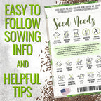 Seed Needs Romaine Lettuce Seeds Variety Pack for Planting a Collection of 2 Individual Varieties - Packets Include Red Romaine & Parris Island COS