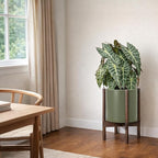 D'vine Dev Planter Pot with Stand - 10 Inch Plastic Cylinder Flower Pot with Wood Planter Holder for Indoor, Olive Pot + Walnut Color Stand, 55-C-L-3