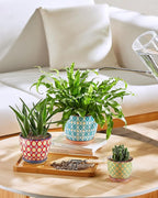 Metahom Succulent Ceramic Pots, 3.8 Inch Small Plant Pots with Drainage Hole & Saucer, Flower Planter Pot for Houseplants, Cacti, Home Decor, Set of 4, Vibrant Colors