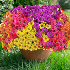 20 Bundles Artificial Flowers for Outdoors,No Fade Fake Silk Flowers with Plastic Plants ,Faux realistic flowers uv resistantfor For Patio Window box Porch Garden Wedding Farmhouse Decor(Mixed Color)
