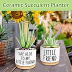 Kwtzkuo® 2 Pack- Say Aloe to My Little Friend - Funny Succulent Pots, Cute Small Ceramic Planter Pot with Drainage, Home & Office Succulent Aloe Planter